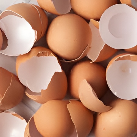 कचरा नहीं हैं अंडे के छिलके, फेंकने पहले जान लें इसके फायदें